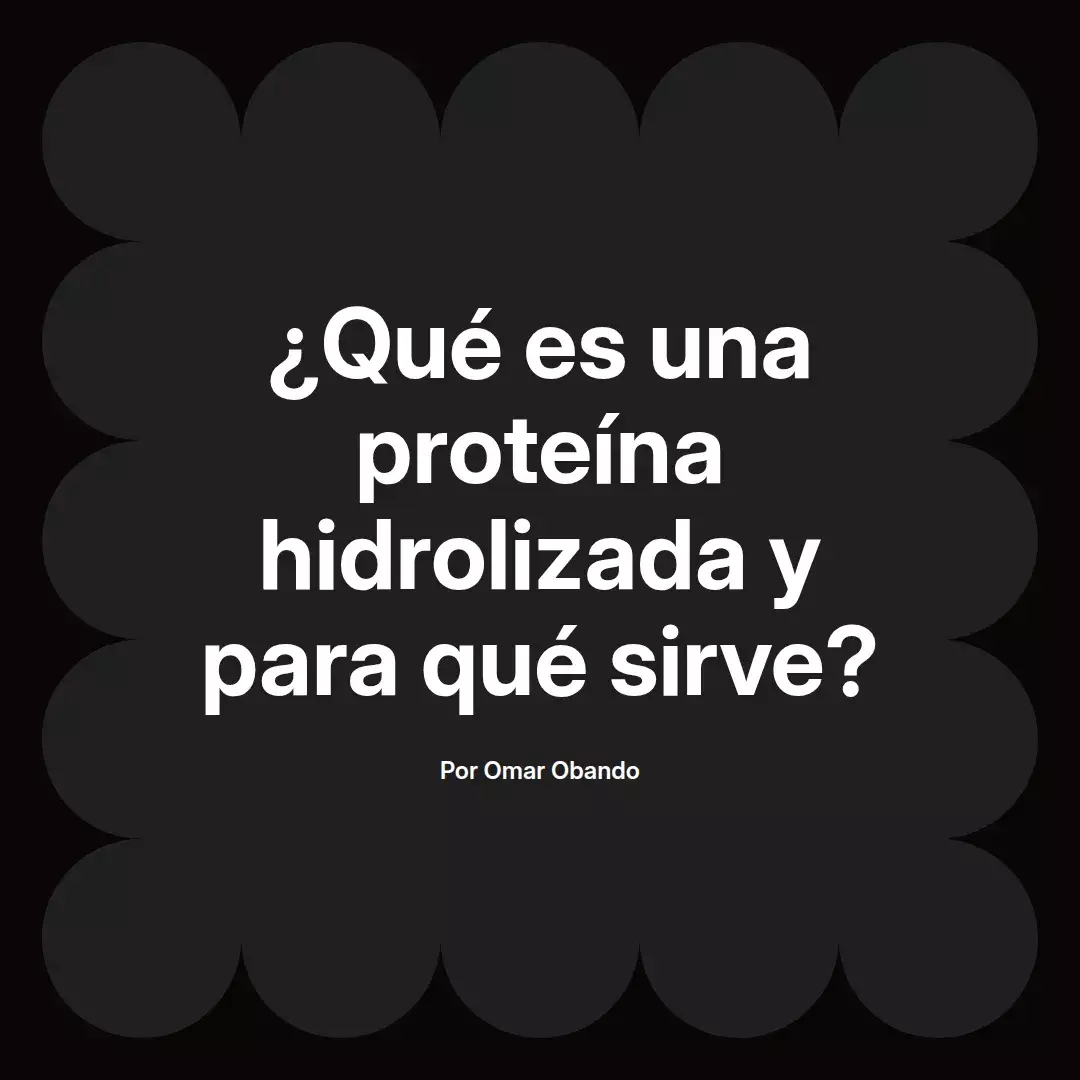 ¿Qué es una proteína hidrolizada y para qué sirve?