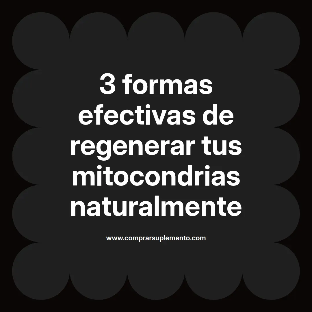 3 formas efectivas de regenerar tus mitocondrias naturalmente
