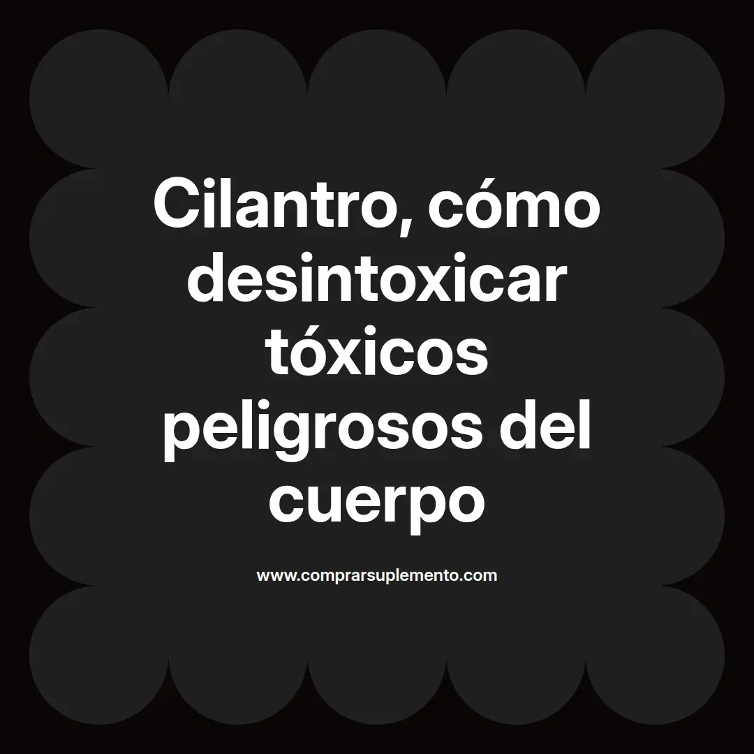 Cilantro, cómo desintoxicar tóxicos peligrosos del cuerpo