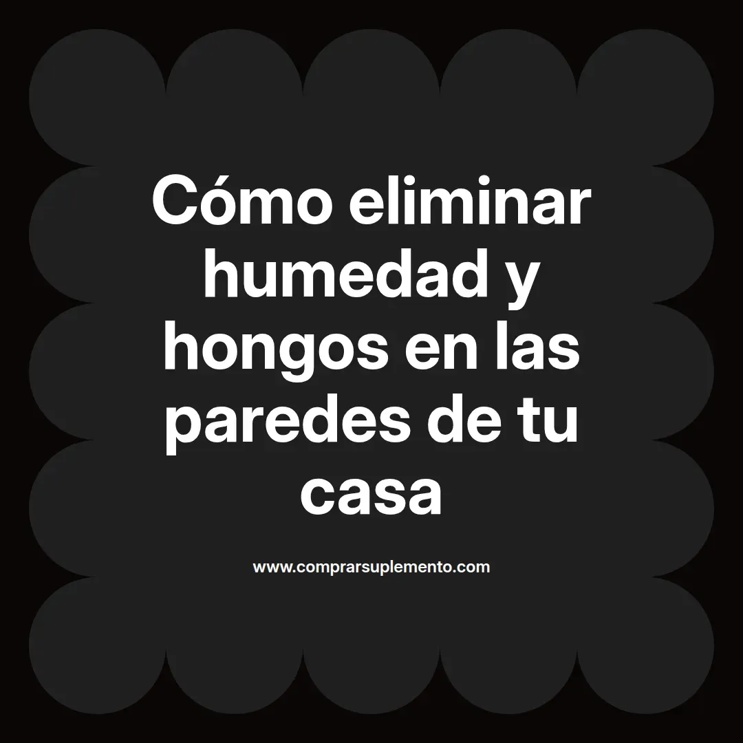 Cómo eliminar humedad y hongos en las paredes de tu casa