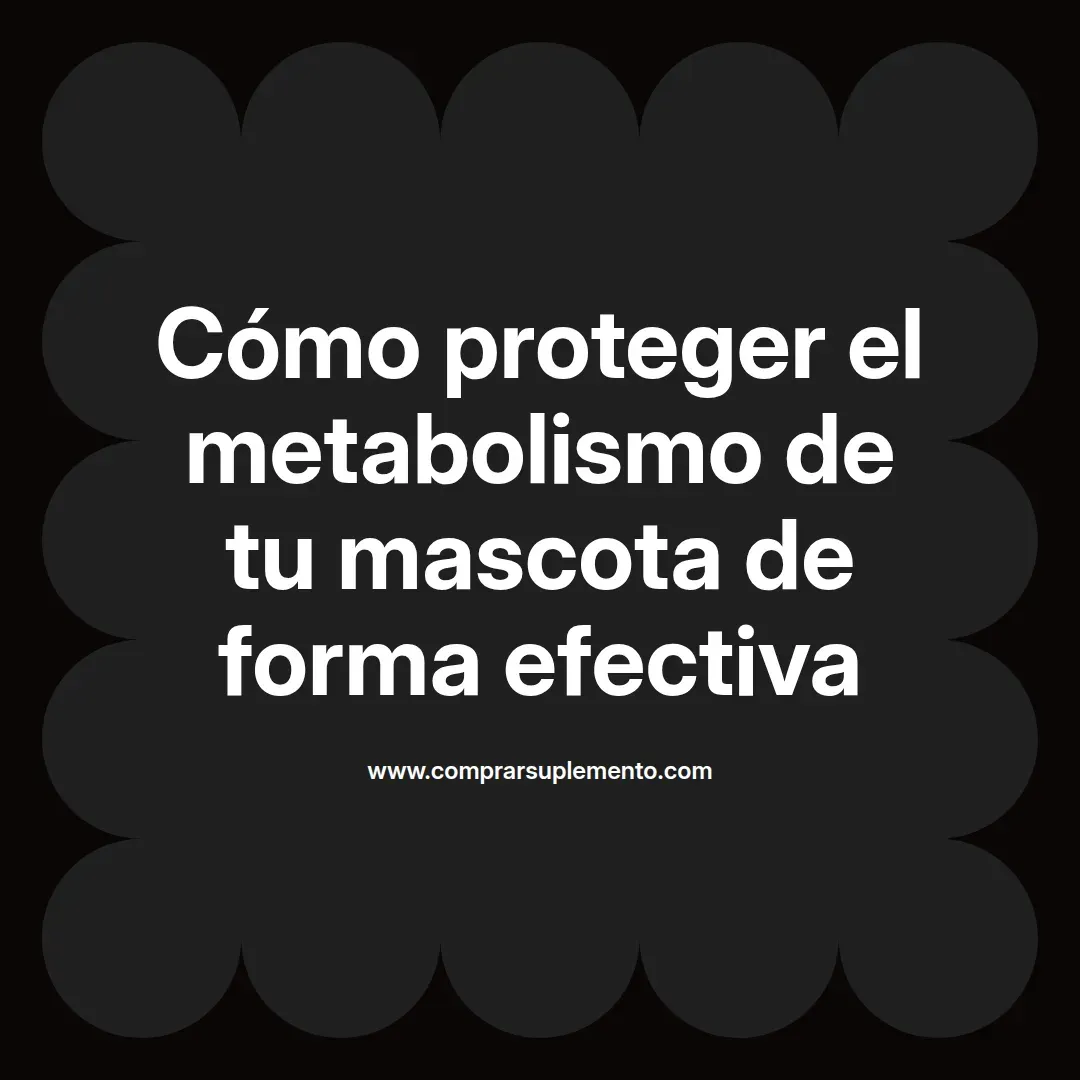 Cómo proteger el metabolismo de tu mascota de forma efectiva