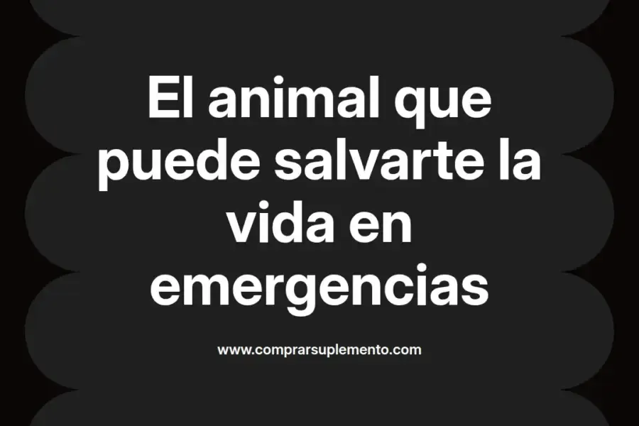 imagen destacada del post con un texto en el centro que dice El animal que puede salvarte la vida en emergencias y abajo del texto aparece el nombre del autor Omar Obando