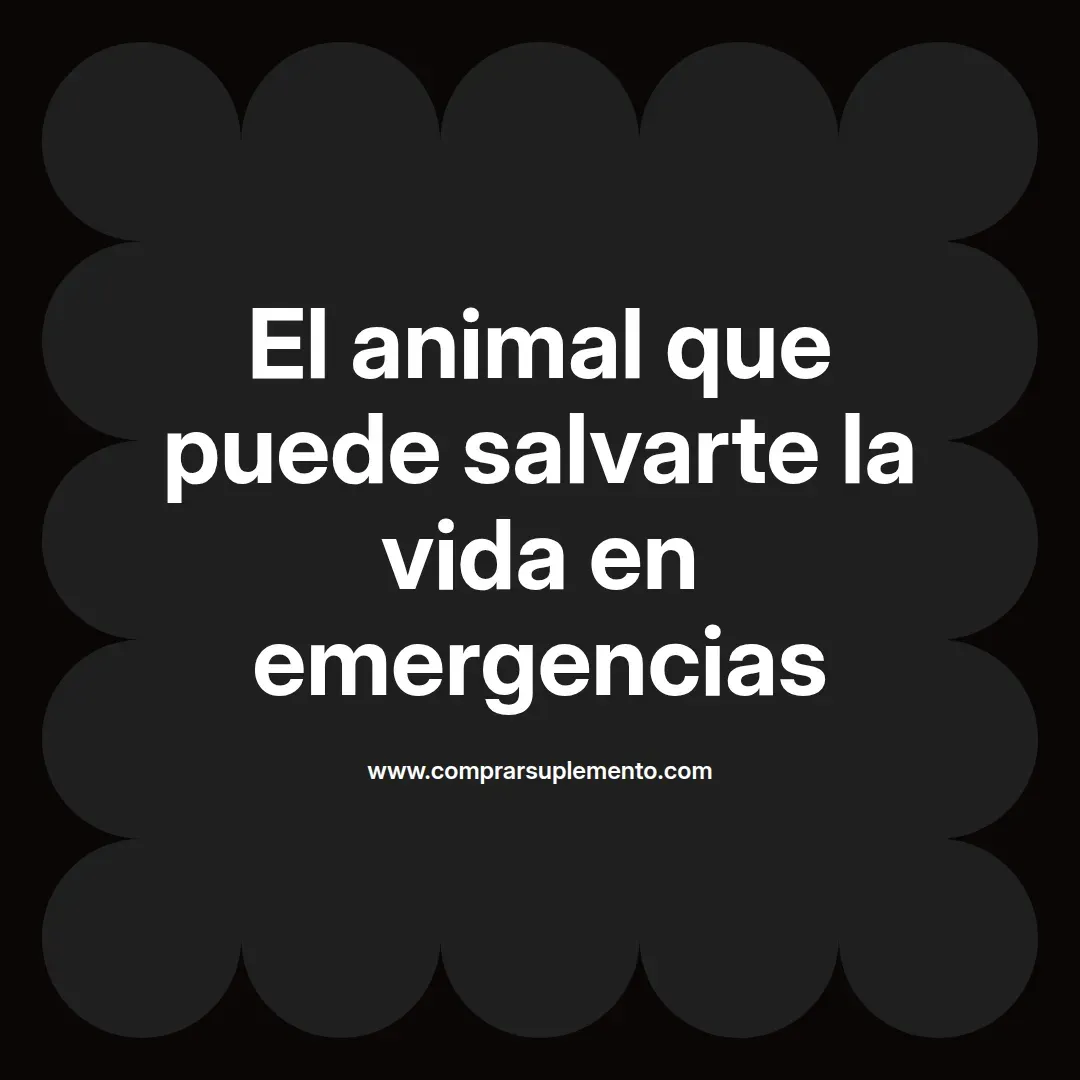 El animal que puede salvarte la vida en emergencias