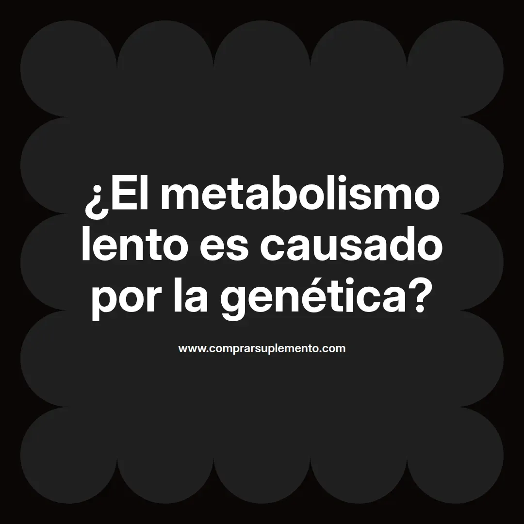 ¿El metabolismo lento es causado por la genética?