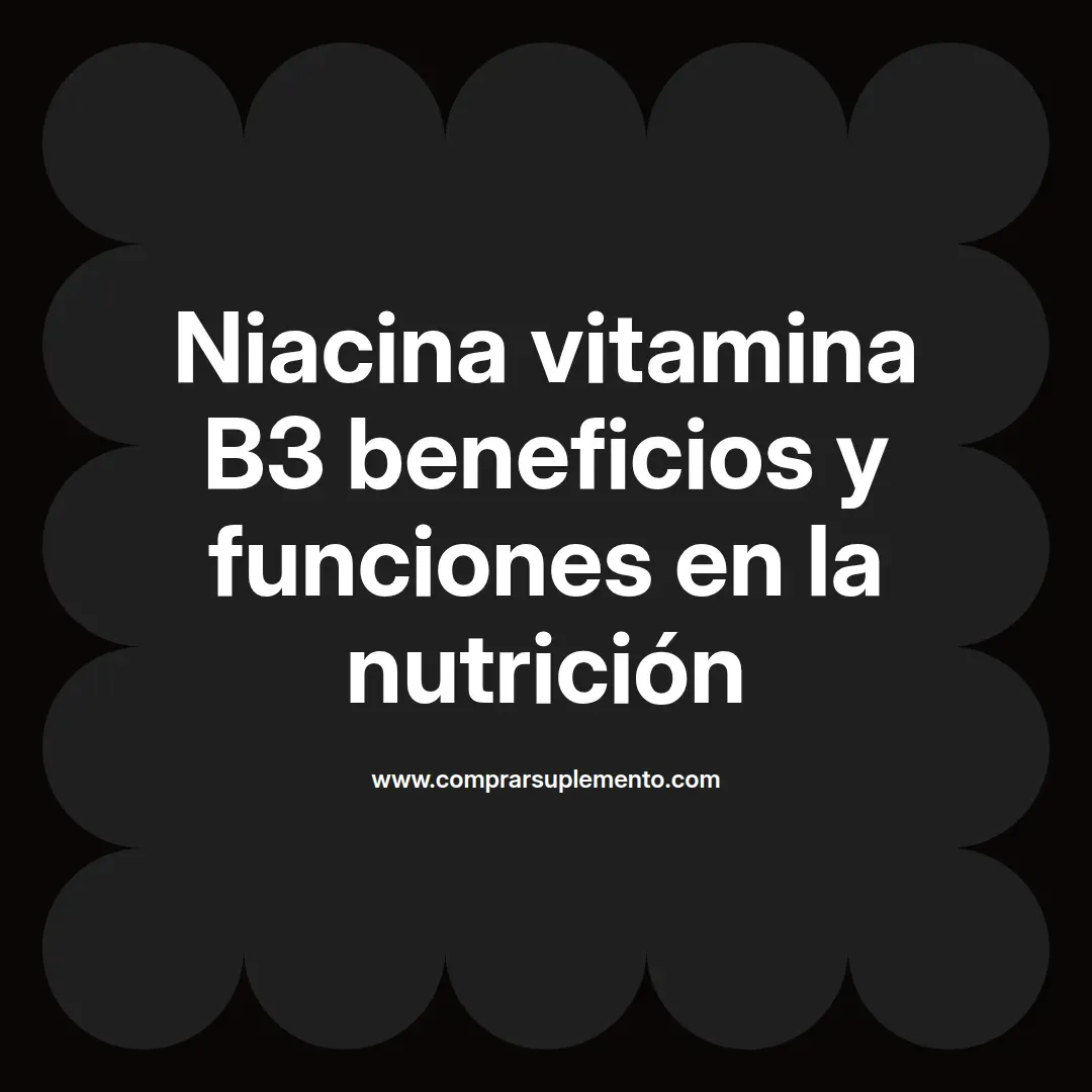 Niacina vitamina B3 beneficios y funciones en la nutrición