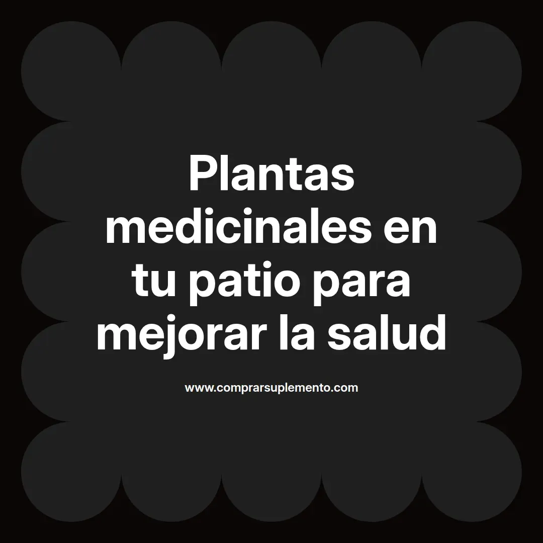 Plantas medicinales en tu patio para mejorar la salud