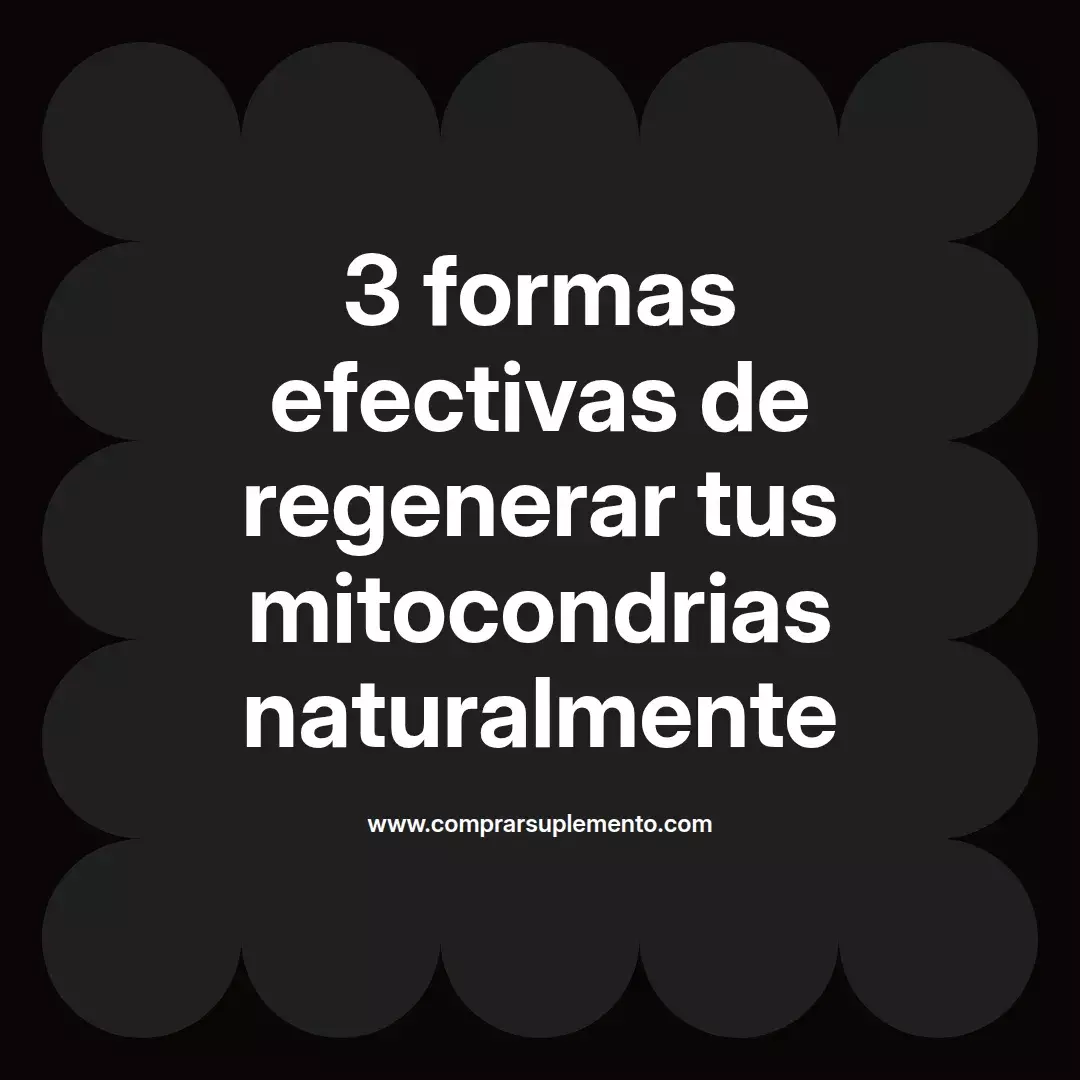 3 formas efectivas de regenerar tus mitocondrias naturalmente