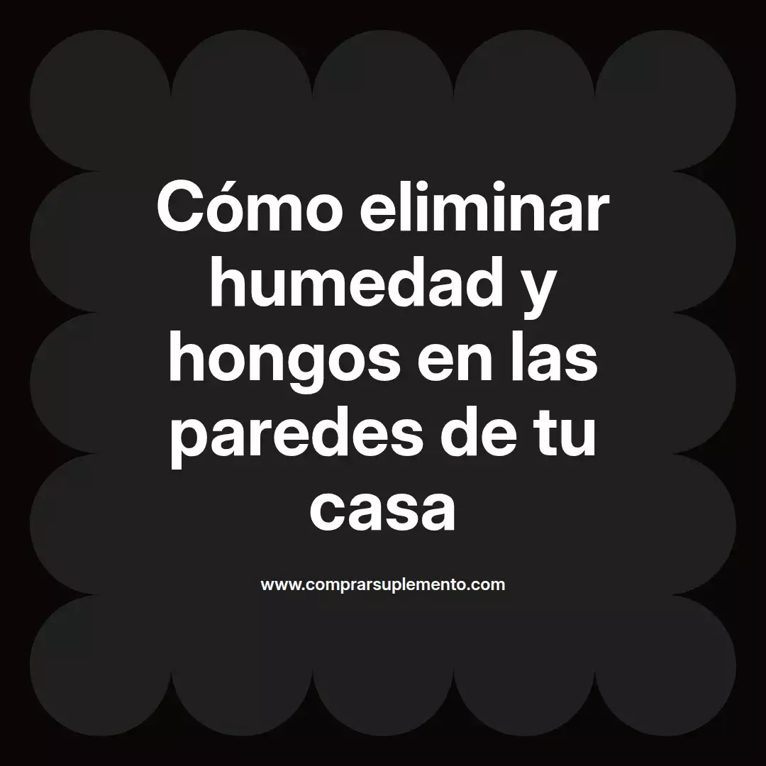 Cómo eliminar humedad y hongos en las paredes de tu casa