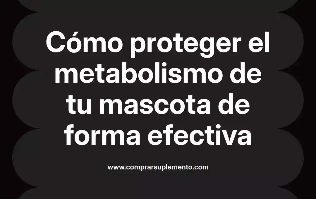 imagen destacada del post con un texto en el centro que dice Cómo proteger el metabolismo de tu mascota de forma efectiva y abajo del texto aparece el nombre del autor Omar Obando