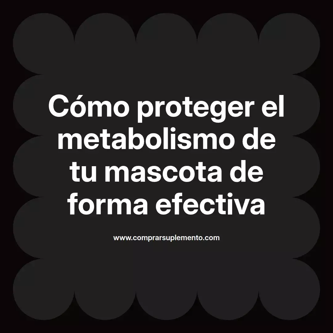 Cómo proteger el metabolismo de tu mascota de forma efectiva